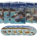 아메리카로 떠나는 세계역사문화여행 이미지