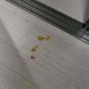 24시 고덕동물의료센터 이미지