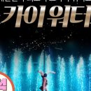 스카이워터쇼 이미지