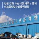 외포리젓갈시장1(외포리547-15) | 인천 강화 수산시장 새우 꽃게 내돈내산 시세 가격 외포항젓갈수산물직판장