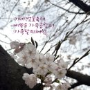 가죽공예로 액세서리 및 작은 소품 만들기 | [화성 축제] 기배 벚꽃축제에서 만나는 감성 가죽팔찌 체험