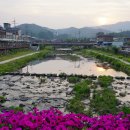 동향면 행정복지센터 이미지