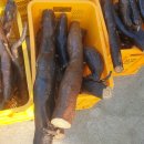 대부건강원 이미지