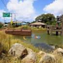 한경면 낙천리 아홉굿마을 이미지