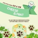 롤리안 이미지