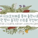 책장속 북스