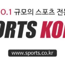 더네트코리아