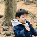 김이안 카카오 검색결과