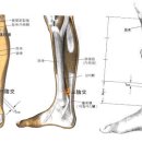 삼음교혈(三陰交穴)과 여성(女性) 이미지