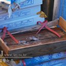 일등행정 이미지