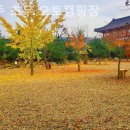 경주초우오토캠핑장 | [경주/캠핑장/글램핑] 경주 초우 오토캠핑장 자연 속에서 제대로 쉬고 온 후기