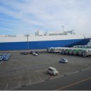 (주)태양파마 이미지