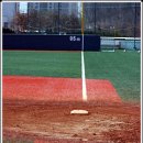 탄천야구장 이미지