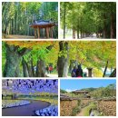 순천만국가정원 서문매표소 화장실 이미지