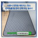 장현퀸