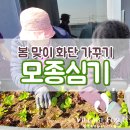 빌리지포유제천요양원 | 빌리지포유 제천요양원 꽃심기 &amp; 상추 심기