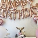 도요케이크 이미지