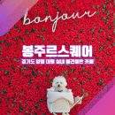 [경기도 남양주 실내 애견동반_봉주르스퀘어] &#34;입구로 들어가자, 입이 떡 벌어져...&#34;