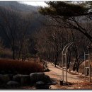 그린캠프유스호스텔