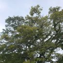 🌴 괌 시내+중부 투어 택시 완벽 가이드 | 괌조아 한인택시로 공항픽업부터 남부투어까지 한 번에!