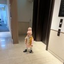 구지면 홈푸드마트 맞은편 | 21개월 아기와 히로시마 여행/미야지마섬에서 라쿠라쿠엔온천까지 루트 총정리