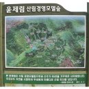 대를 이어 보물산을 꿈꾸는 윤제림 산림경영 모델숲(Ⅰ) 이미지