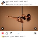 메리폴라운드 이미지