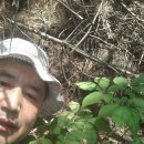 살구정이 이미지