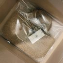드파운드 푸들백 depound poodle bag (brown) 리뷰