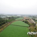 신공항크레인