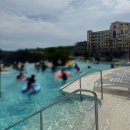 성일할인마트 | [진도]극성수기 여름휴가 쏠비치진도 2일차 카페/인피니티풀/야경