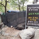 숲속의하루 이미지