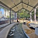 엄사중앙어린이공원 이미지