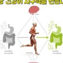 신정로 301번길 네이버블로그