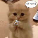 쥬얼리공방