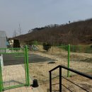포레스트테일 이미지