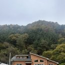 헬로우댕댕 이미지