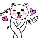 깐돌이네 애견미용호텔 이미지