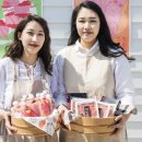 부산허명란 이미지