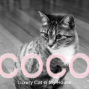 이섭농장 이미지