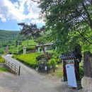 대한의백 이미지