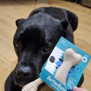 바미메디칼 이미지