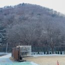 스테이 소유 티스토리
