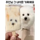 꼰떼 이미지