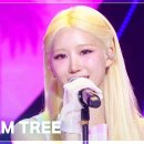 7월4일 뮤직뱅크 위시 Palm Tree 영상 이미지