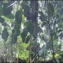 온나라 행정사 사무소 이미지