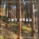 구봉산 치유숲길 입구 이미지