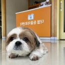 더엘동물의료센터 이미지