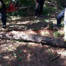 버들나루터마을 이미지