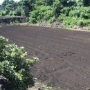 시흥리-3 이미지